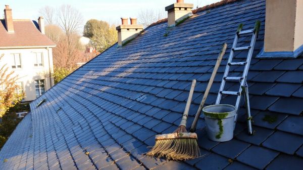 Top conseils pour réussir le démoussage de votre toiture à Vivy